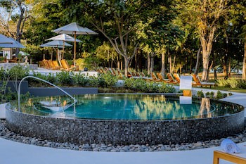 El Mangroove Papagayo, Autograph Collection