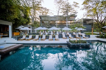 El Mangroove Papagayo, Autograph Collection