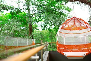 El Mangroove Papagayo, Autograph Collection