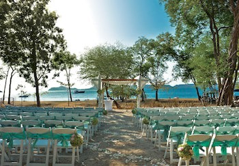 El Mangroove Papagayo, Autograph Collection