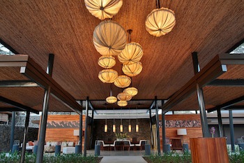 El Mangroove Papagayo, Autograph Collection