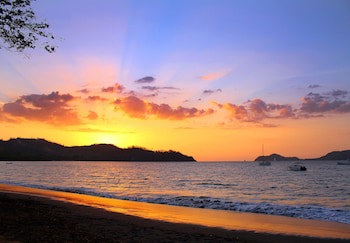 El Mangroove Papagayo, Autograph Collection