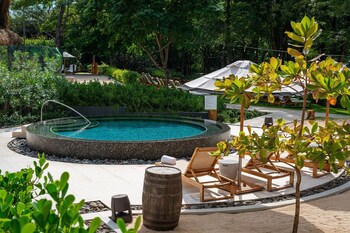 El Mangroove Papagayo, Autograph Collection