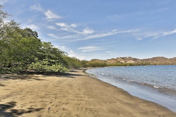 El Mangroove Papagayo, Autograph Collection