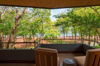 El Mangroove Papagayo, Autograph Collection
