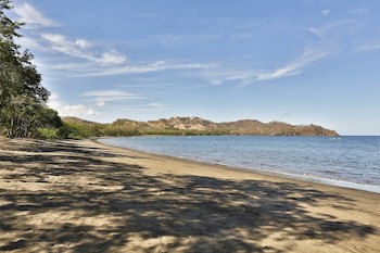 El Mangroove Papagayo, Autograph Collection
