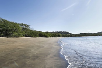 El Mangroove Papagayo, Autograph Collection