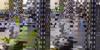 Crowne Plaza Istanbul - Oryapark, An Ihg Hotel