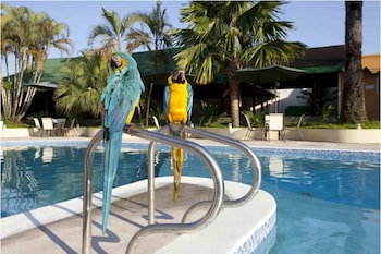 Hotel Anaconda