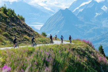 W Verbier