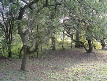Newsham Grange Farm Bed And Breakfast