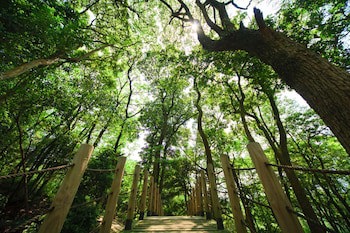 Lido Forestry Spa Resort