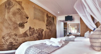 Lionsrock Big Cat Sanctuary