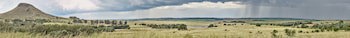 Lionsrock Big Cat Sanctuary