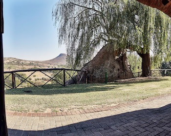 Lionsrock Big Cat Sanctuary