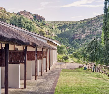 Lionsrock Big Cat Sanctuary