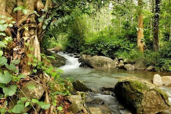 Banasura Hill Resort