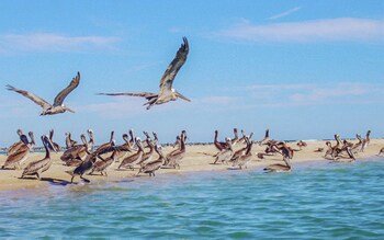 Laguna Shores Resort