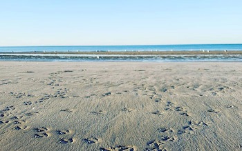 Laguna Shores Resort