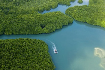 Sylvan Koh Chang