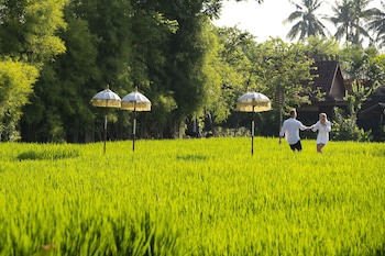 Alaya Resort Ubud