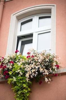Hotel Alte Mark galeri fotoğrafı