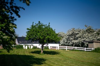 Den Gamle Graensekro