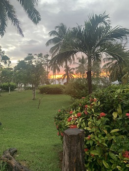 Hotel Casa De Las Flores
