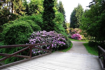Park Hotel Pruhonice fotoğrafı