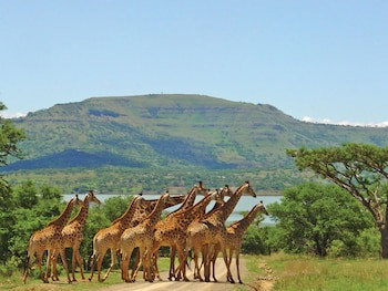 Spionkop Lodge