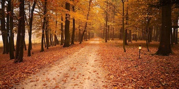 Dwor Sierakow
