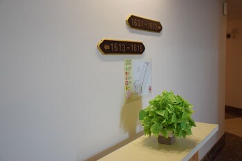 Aiyara Grand Hotel