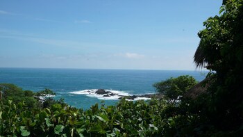 Zoa Hotel - Adults Only