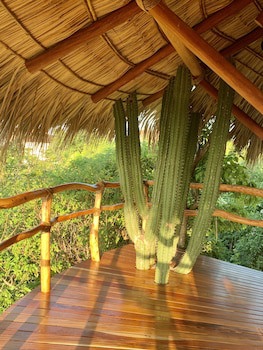 Zoa Hotel - Adults Only