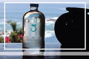 Zoa Hotel - Adults Only