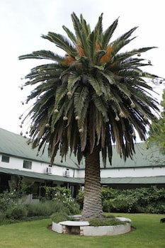 Lemoenfontein