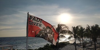 Papagayo Beach Hotel - Adults Only
