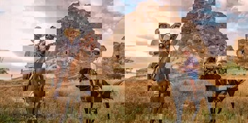 Duven Hotel Cappadocia