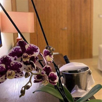 Breathless Punta Cana Resort & Spa - Adults Only - All Inclusive