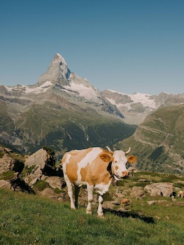 Beausite Zermatt
