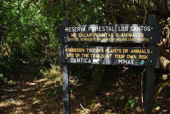 Dantica Cloud Forest Lodge