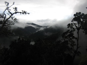 Dantica Cloud Forest Lodge