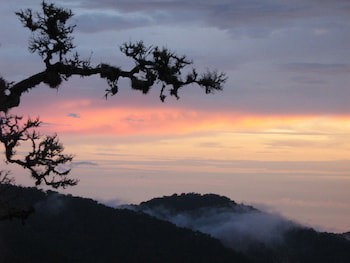 Dantica Cloud Forest Lodge