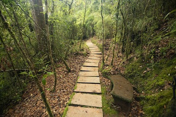 Dantica Cloud Forest Lodge