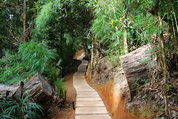 Dantica Cloud Forest Lodge