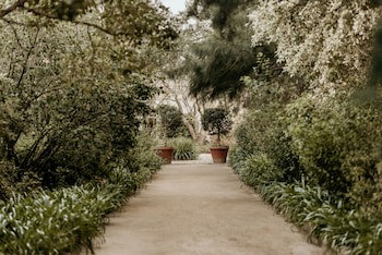 Blue Gum Country Estate