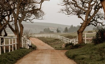 Blue Gum Country Estate