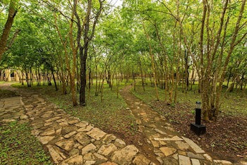 The Windflower Jungle Resorts And Spa