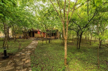 The Windflower Jungle Resorts And Spa