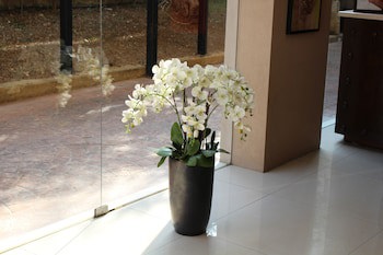 Jounieh Suites Hotel